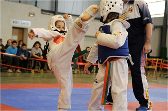 Exhibición de Taekwondo en Maluenda Exhibición de Taekwondo en Maluenda